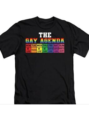 🌈 T-Shirt-Imperfect "Gay Agenda" in Black, Men's size XL